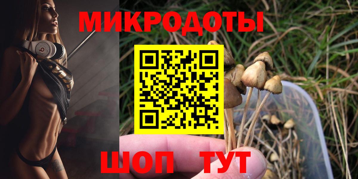 Галлюциногенные грибы прущие грибы Камень-на-Оби