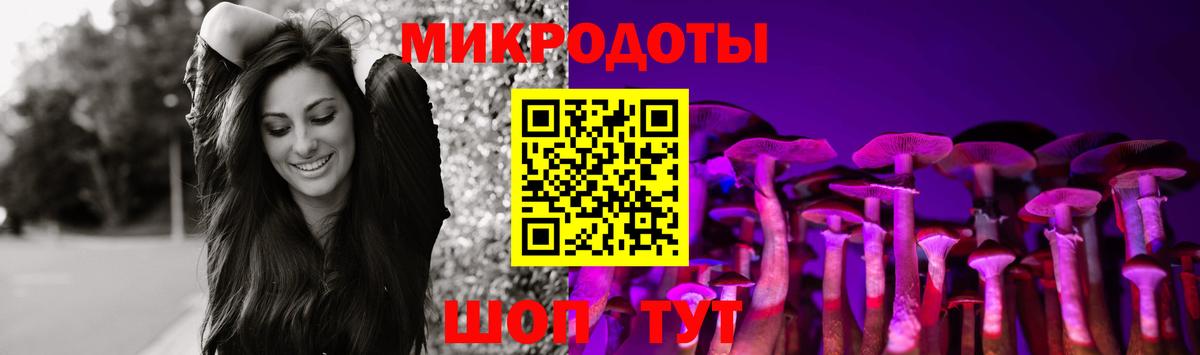 где можно купить наркотик  Псилоцибиновые грибы Psilocybe  Вход с VPN  Камень-на-Оби 
